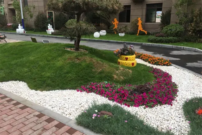 碧桂园凤凰首府实景图