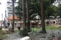 紫竹苑实景图